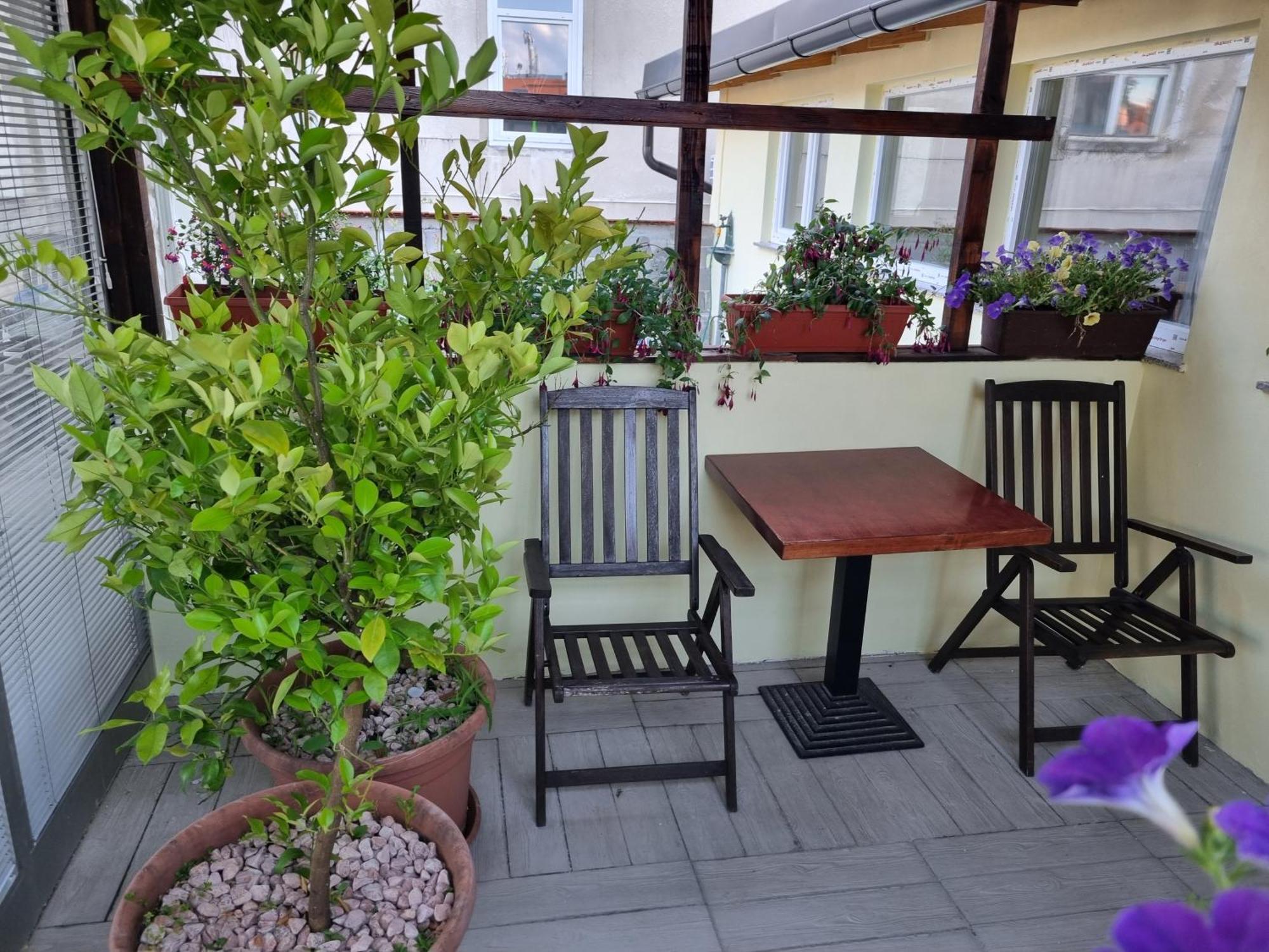 Apartments Fazarinc S Parkiriscem Τσέλιε Εξωτερικό φωτογραφία