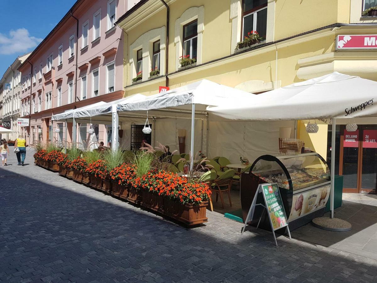 Apartments Fazarinc S Parkiriscem Τσέλιε Εξωτερικό φωτογραφία